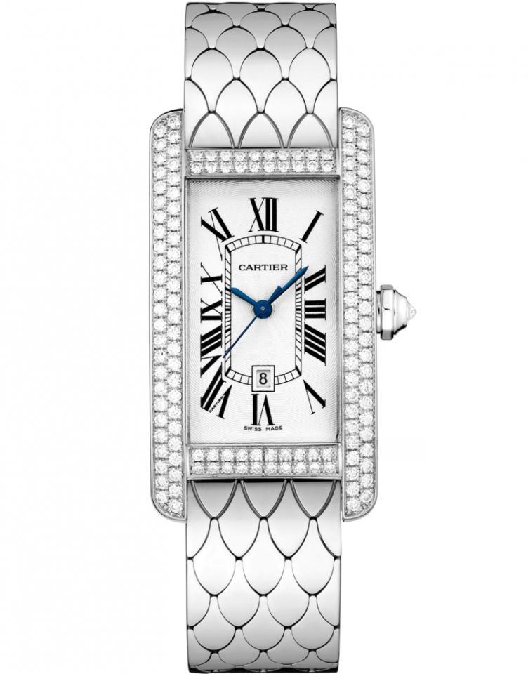 CARTIER WB710011