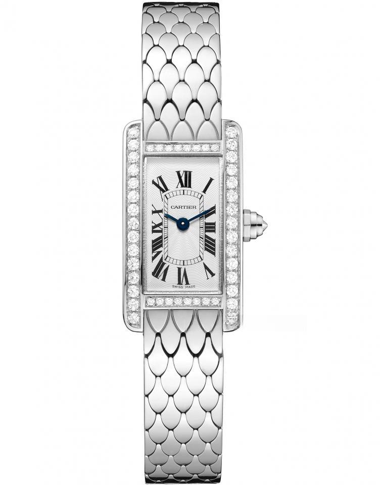 CARTIER WB710013
