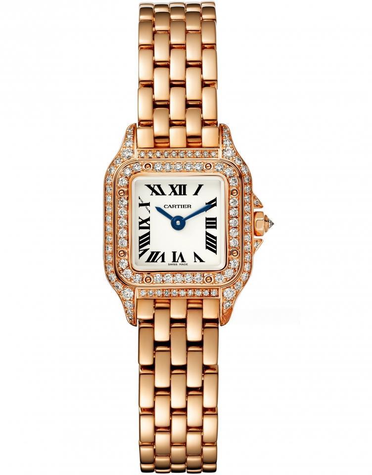 CARTIER WGPN0017
