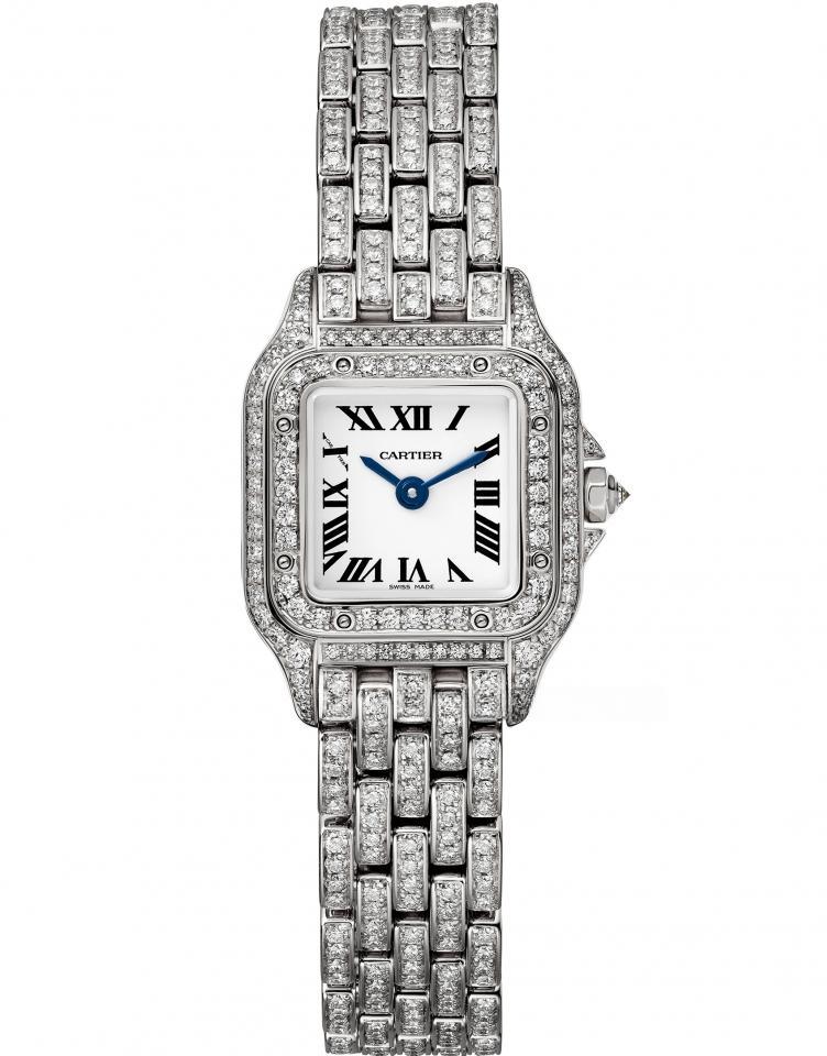 CARTIER WGPN0041