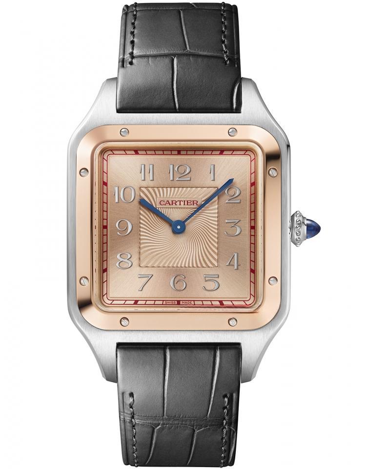CARTIER W2SA0025