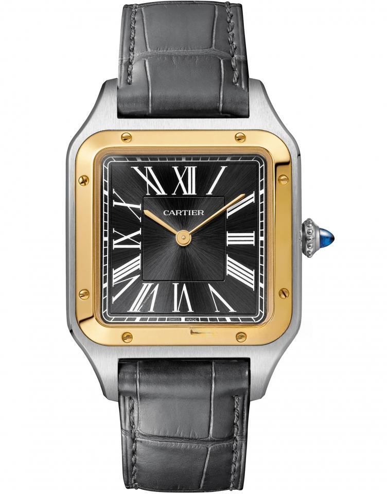 CARTIER W2SA0015