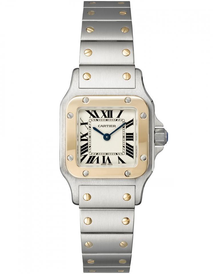 CARTIER W20012C4