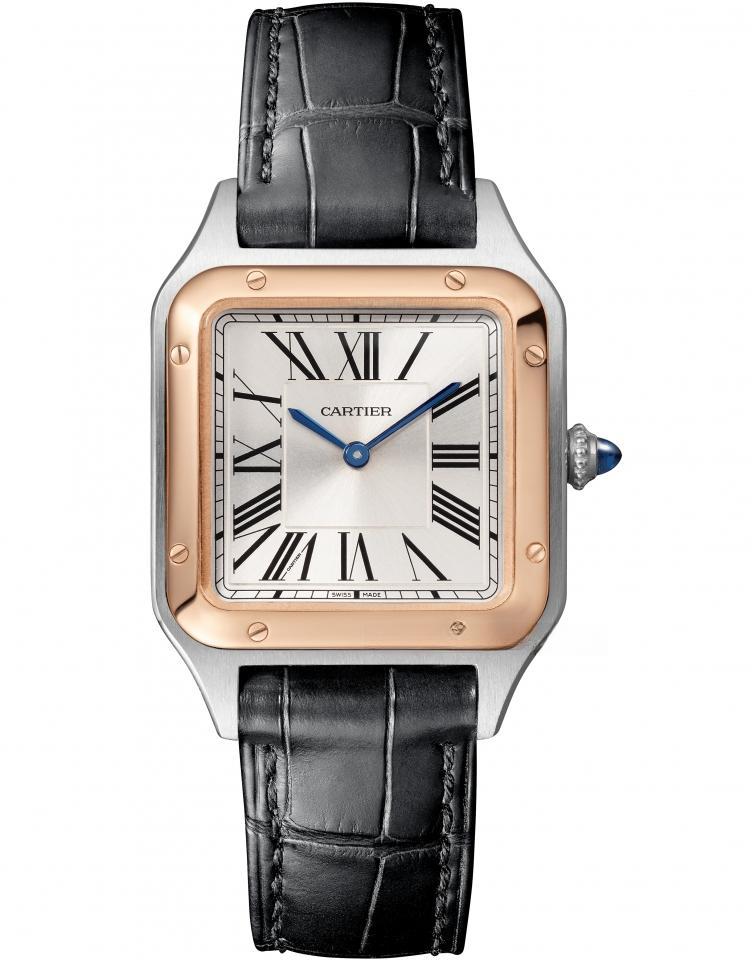 CARTIER W2SA0012