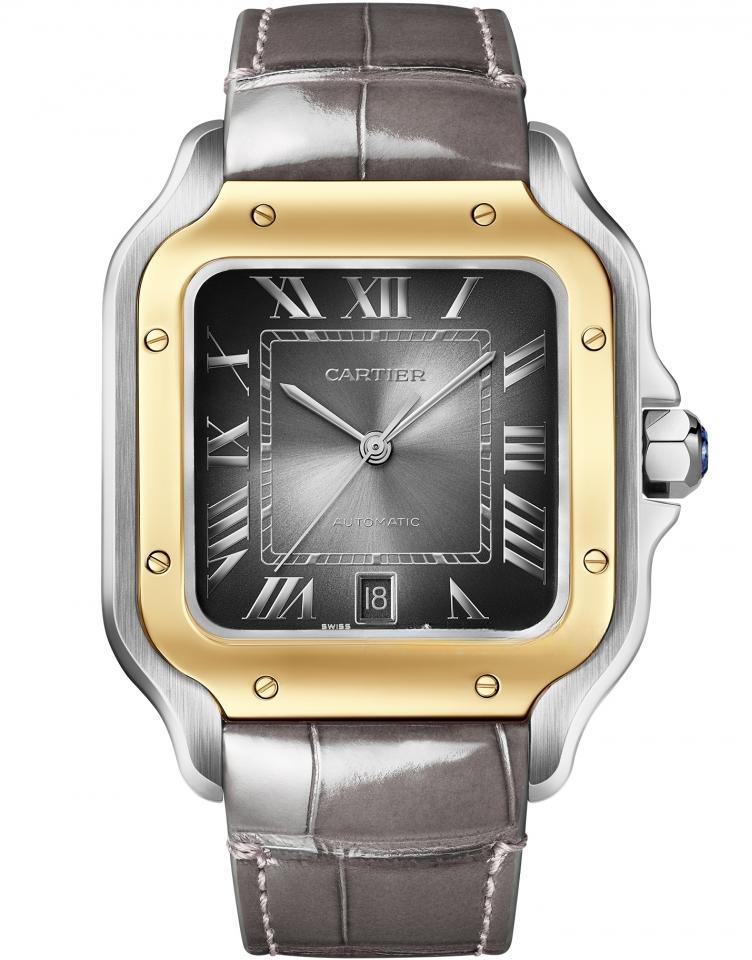 CARTIER W2SA0030