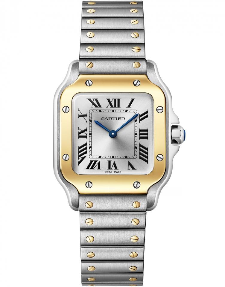 CARTIER W2SA0033