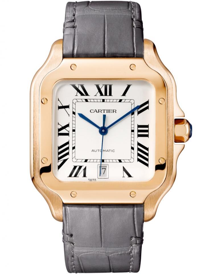 CARTIER WGSA0019