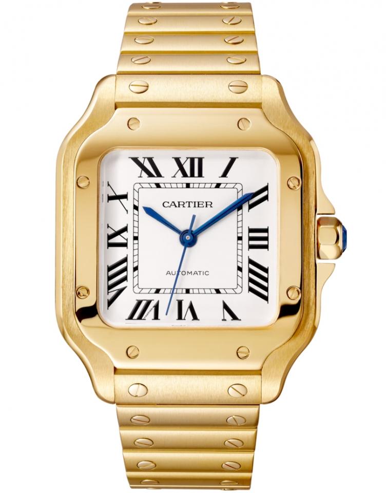CARTIER WGSA0030