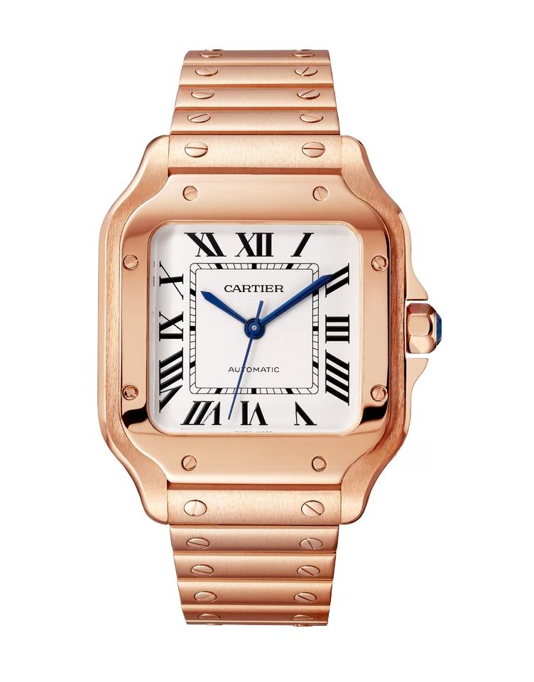 CARTIER WGSA0031