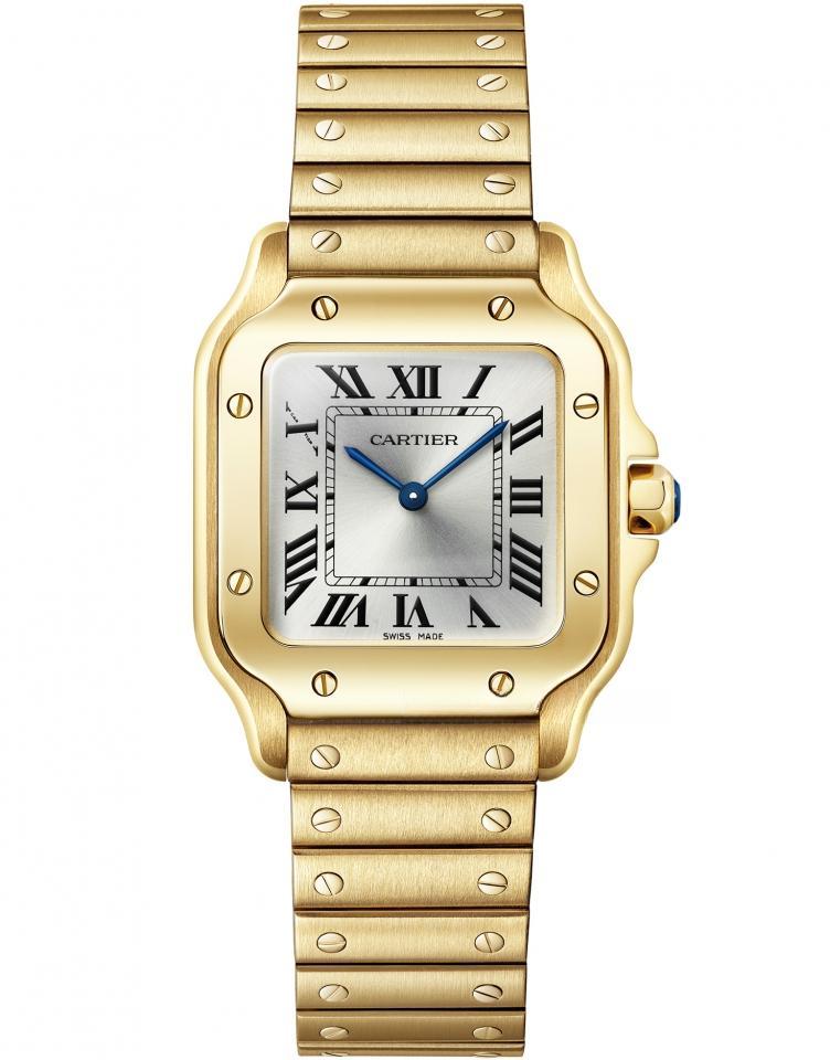CARTIER WGSA0107
