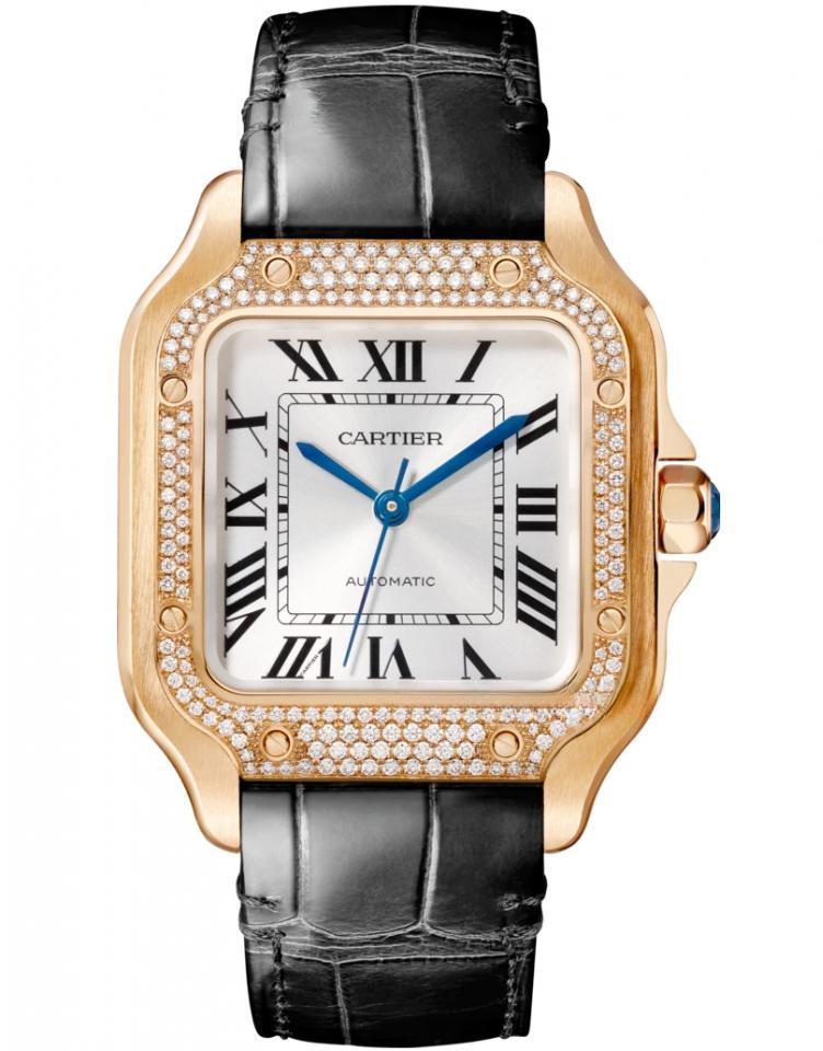 CARTIER WJSA0007