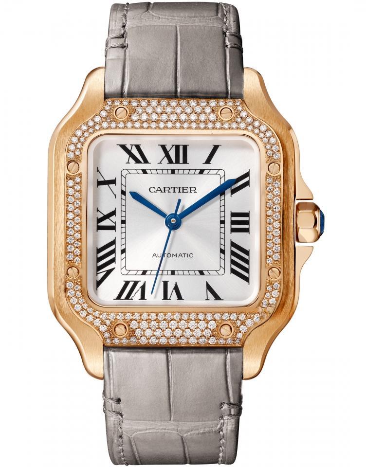 CARTIER WJSA0012