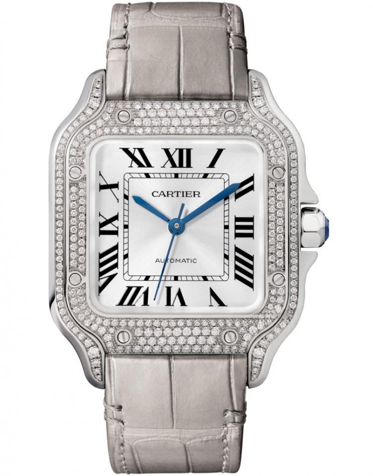 CARTIER WJSA0014