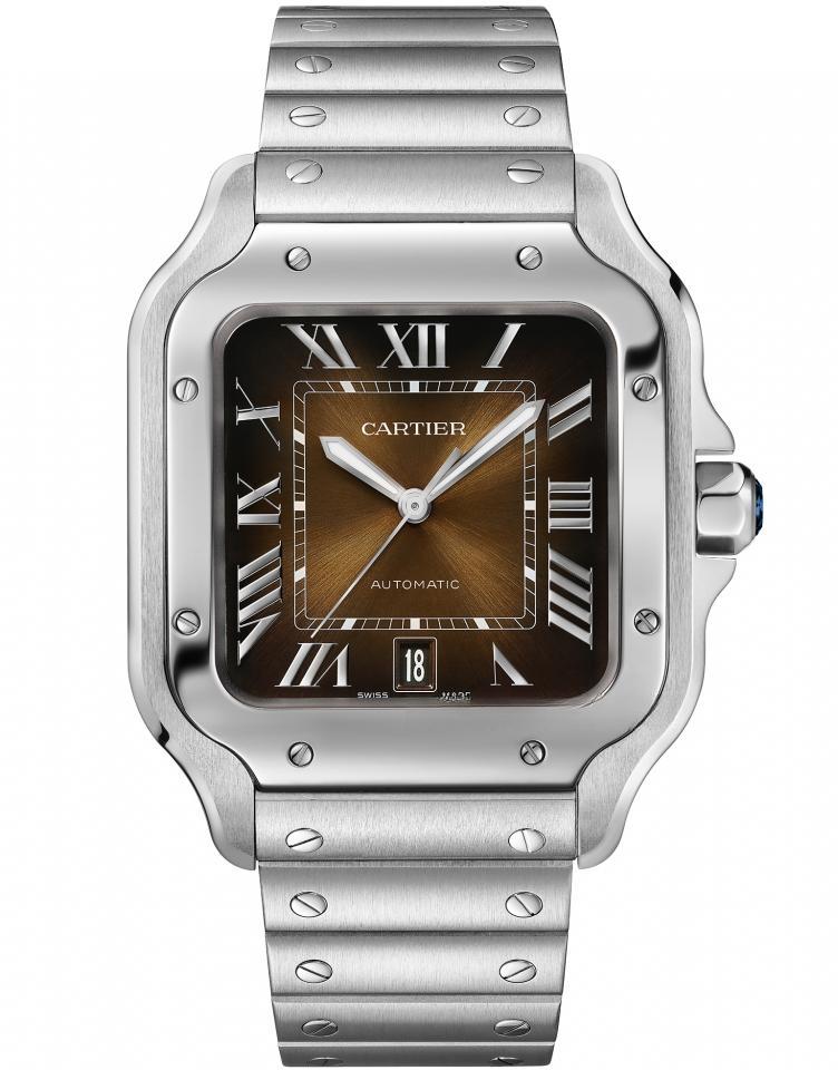CARTIER WSSA0064