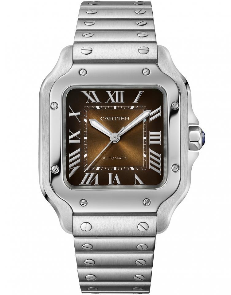 CARTIER WSSA0065