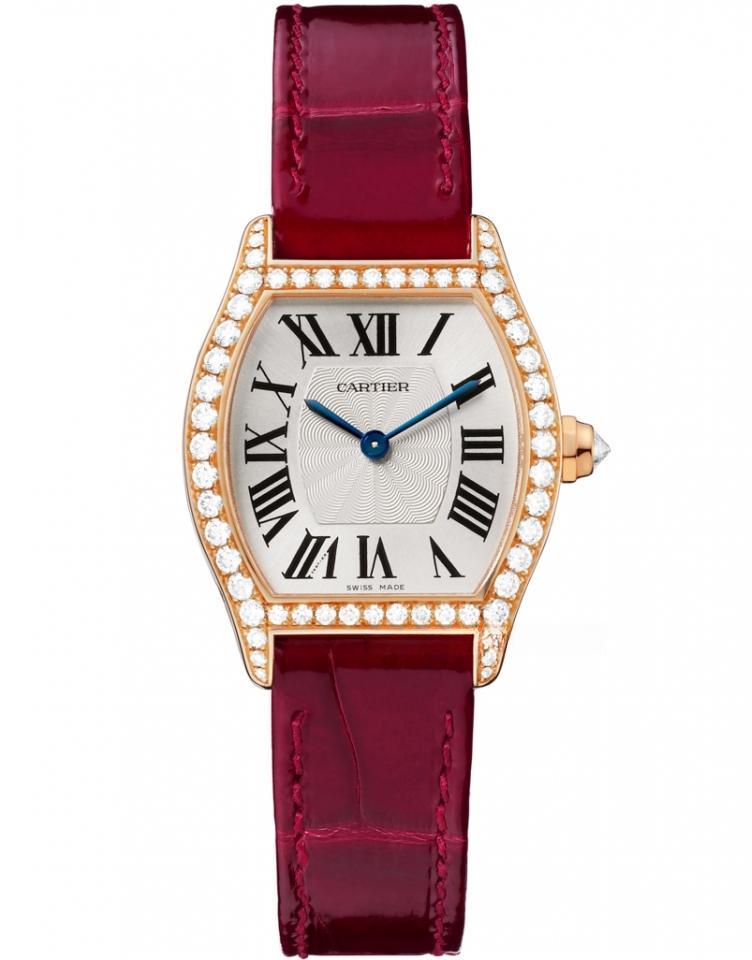 CARTIER WA501006