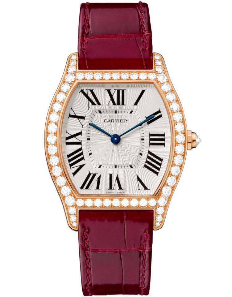 CARTIER WA501008