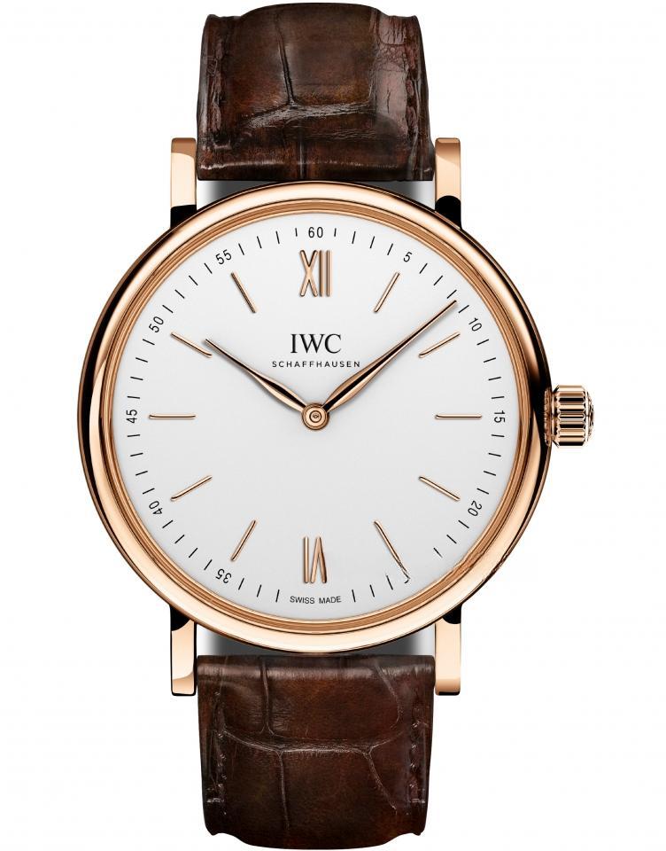 IWC IW511101