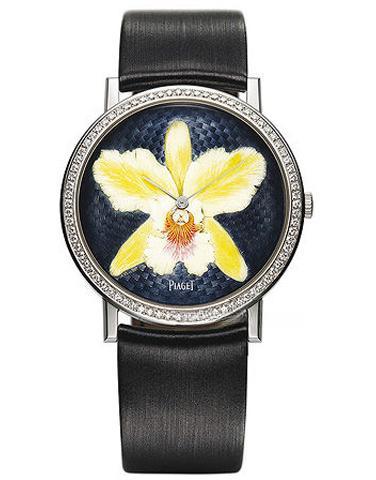 PIAGET